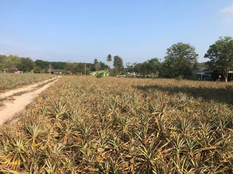 Land for sale in Phanat Nikhom, 12 rai, 70 meters wide, next to Soi 11, Nikhom Phatthana District, Rayong