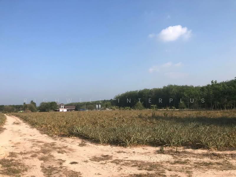 Land for sale in Phanat Nikhom, 12 rai, 70 meters wide, next to Soi 11, Nikhom Phatthana District, Rayong