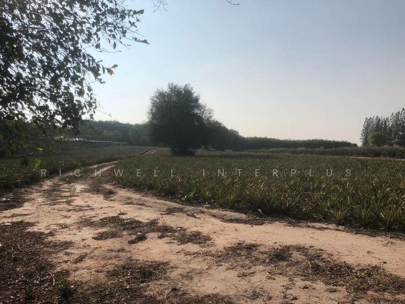 Land for sale in Phanat Nikhom, 12 rai, 70 meters wide, next to Soi 11, Nikhom Phatthana District, Rayong
