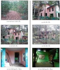 Land plot with building, Wang Thong, Phitsanulok