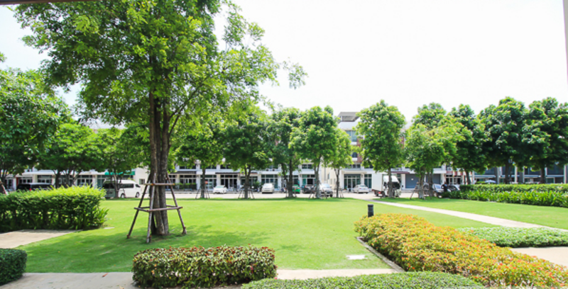 Townplus Prachauthit, Bangkok