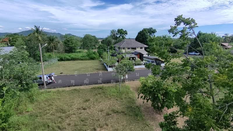 ขายที่ดิน จัดสรร 125ตรว. โครงการบ้านเนินน้ำ แวดล้อมด้วยธรรมชาติ เหมาะสร้างบ้านพัก ตะเคียนเตี้ย, Chon Buri (Pattaya)