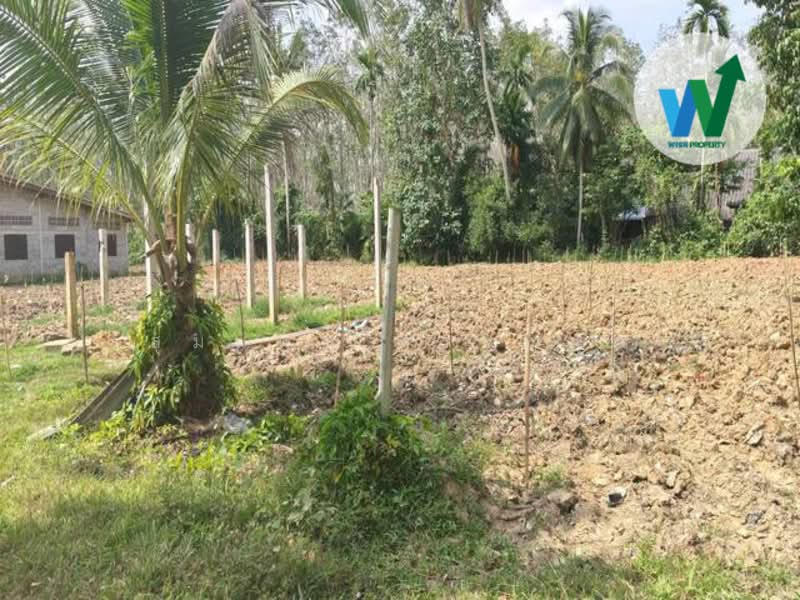 For sale Land Kotao Paphayom Phatthalung, Phatthalung