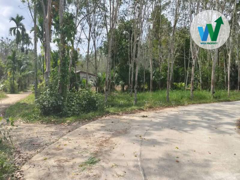 For sale Land Kotao Paphayom Phatthalung, Phatthalung