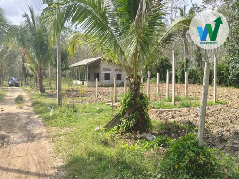 For sale Land Kotao Paphayom Phatthalung, Phatthalung