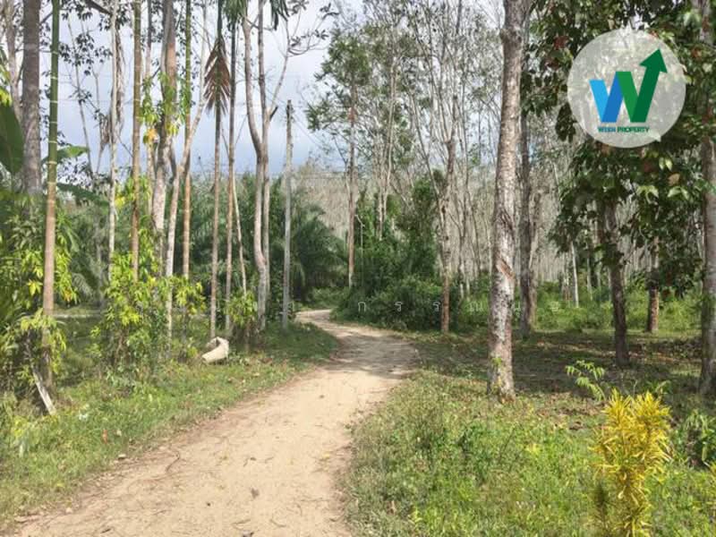 For sale Land Kotao Paphayom Phatthalung, Phatthalung