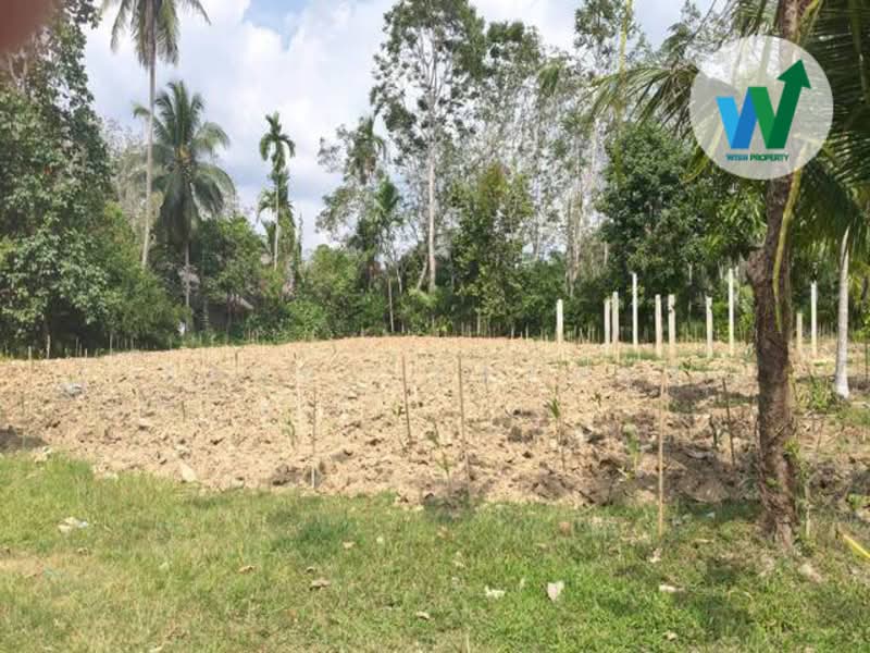 For sale Land Kotao Paphayom Phatthalung, Phatthalung