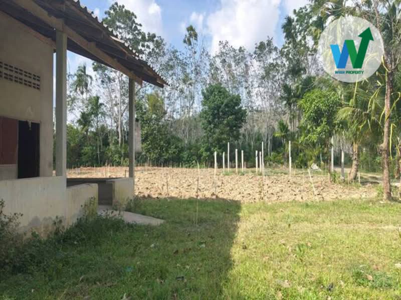 For sale Land Kotao Paphayom Phatthalung, Phatthalung