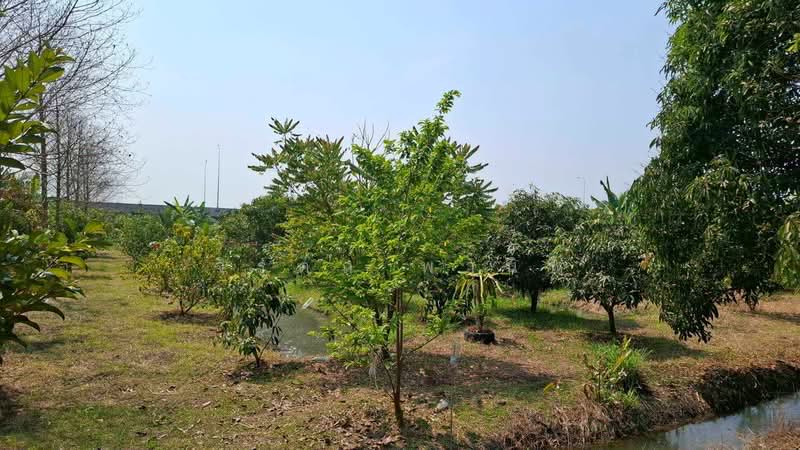 คลองโยง, Nakhon Pathom