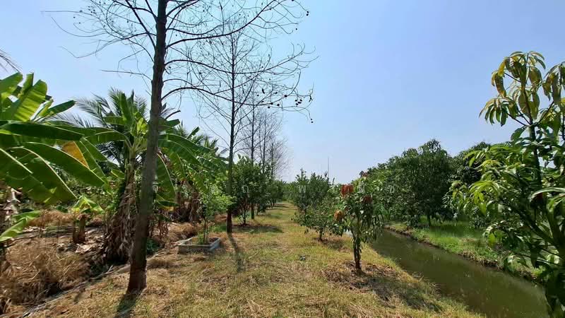 คลองโยง, Nakhon Pathom