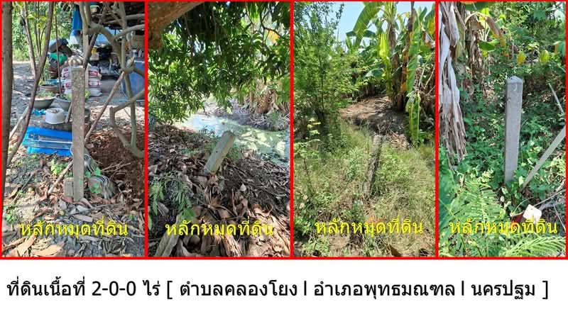 คลองโยง, Nakhon Pathom