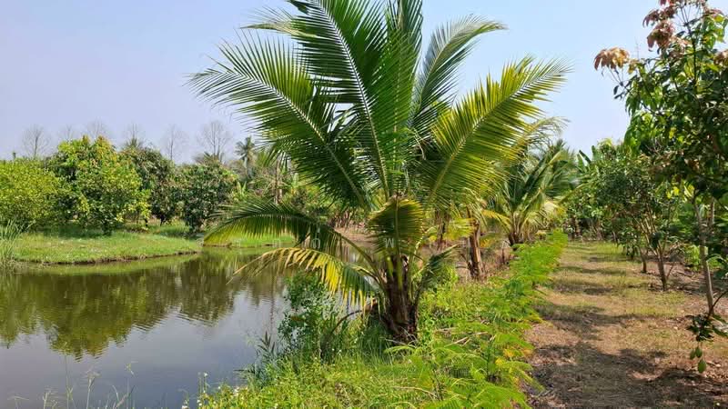 คลองโยง, Nakhon Pathom
