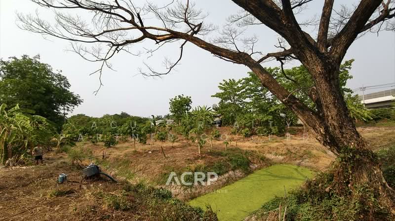 Rare Item !! Prime Land on Ratchaphruek Road (Outbound) – Opposite Robinson Lifestyle Ratchaphruek, Nonthaburi