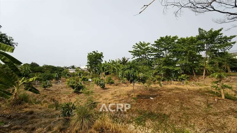 Rare Item !! Prime Land on Ratchaphruek Road (Outbound) – Opposite Robinson Lifestyle Ratchaphruek, Nonthaburi