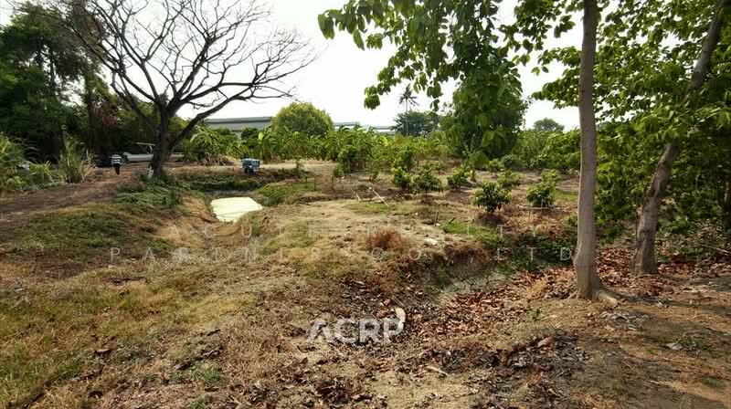 Rare Item !! Prime Land on Ratchaphruek Road (Outbound) – Opposite Robinson Lifestyle Ratchaphruek, Nonthaburi