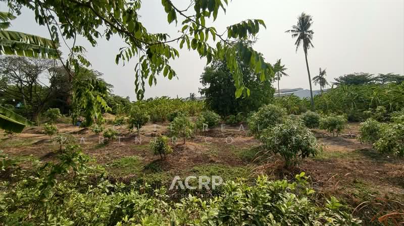 Rare Item !! Prime Land on Ratchaphruek Road (Outbound) – Opposite Robinson Lifestyle Ratchaphruek, Nonthaburi