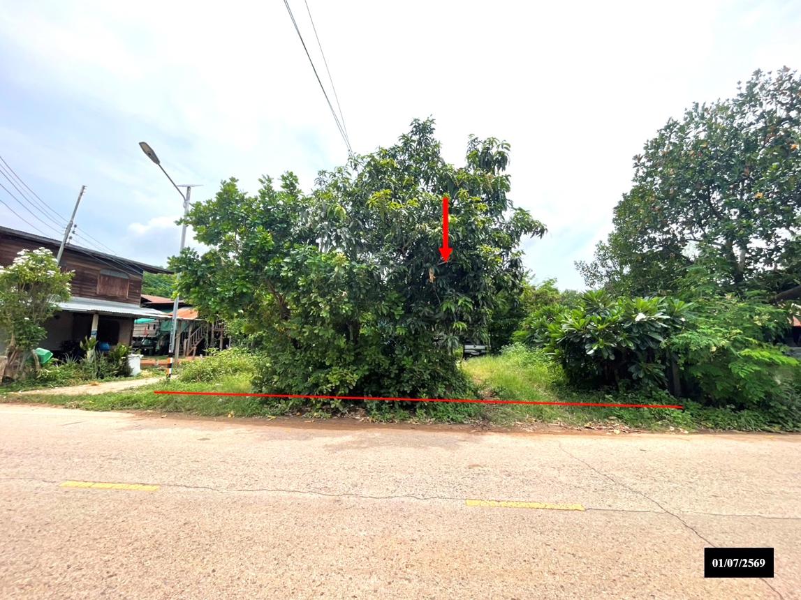บ้านเดี่ยวที่ดิน 4 ไร่ เมืองสกลนคร สกลนคร