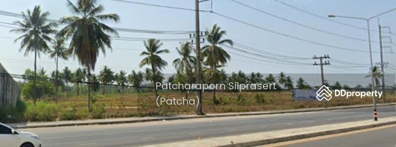 ที่ดินเปล่าเขาหลัก พังงา, Phangnga