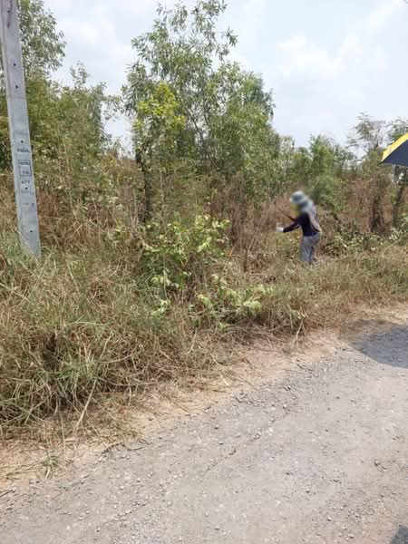 ที่ดินองครักษ์ นครนายก, Nakhon Nayok