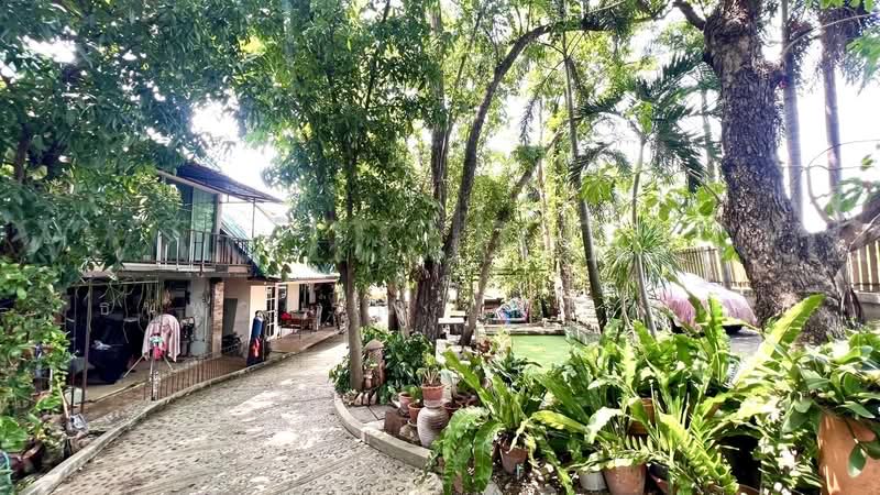 ที่ดิน 2 ไร่ พร้อมสิ่งปลูกสร้าง ไทรน้อย - นนทบุรี, Nonthaburi