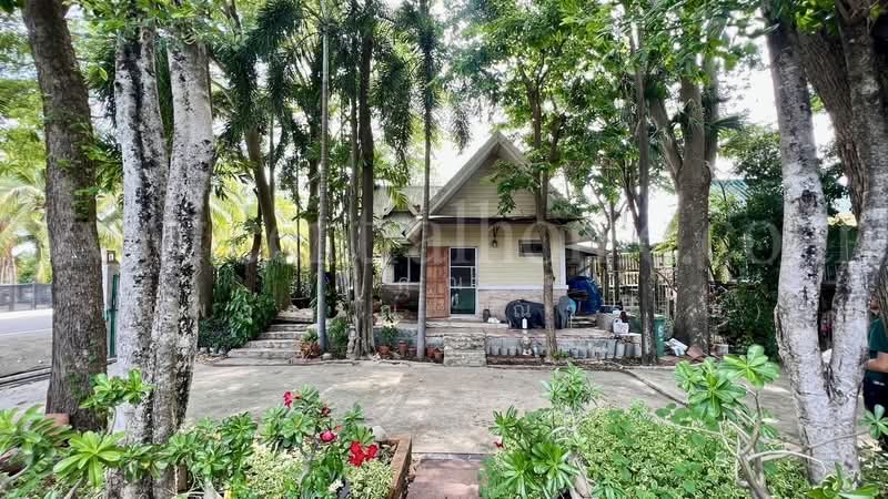 ที่ดิน 2 ไร่ พร้อมสิ่งปลูกสร้าง ไทรน้อย - นนทบุรี, Nonthaburi