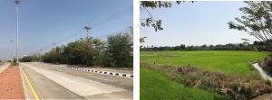 Empty Land in Suphan Buri Province, Suphan Buri