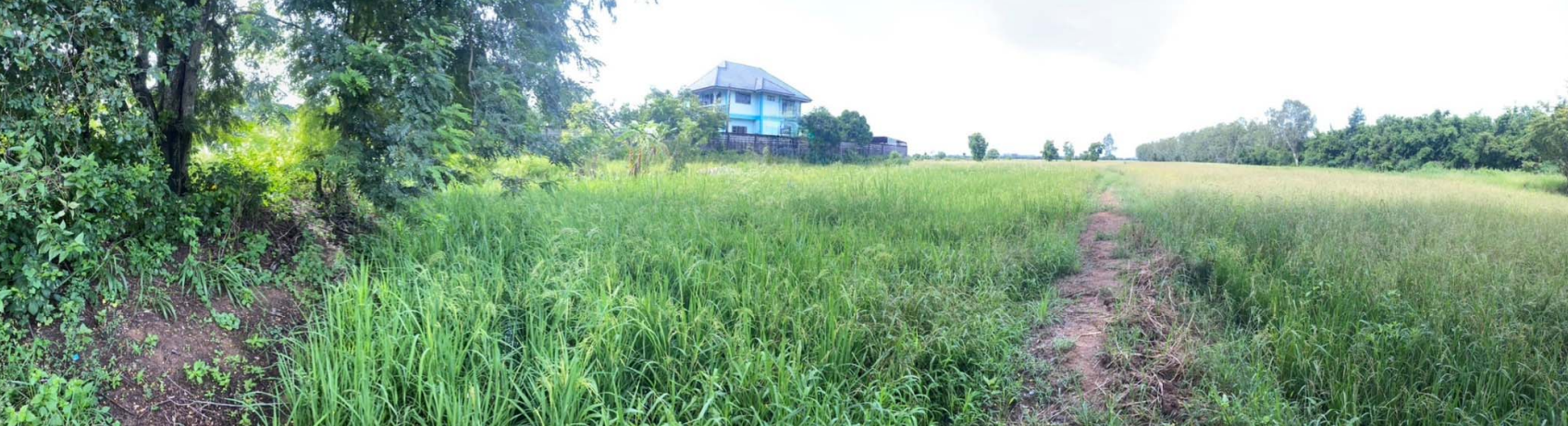 ที่ดินเปล่า ปราจีนบุรี
