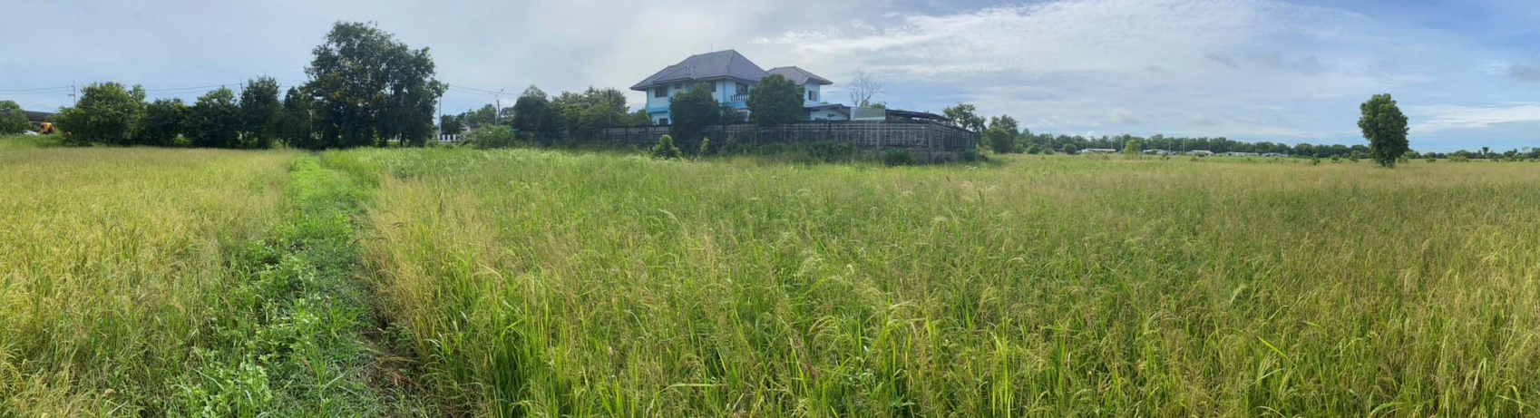 ที่ดินเปล่า ปราจีนบุรี