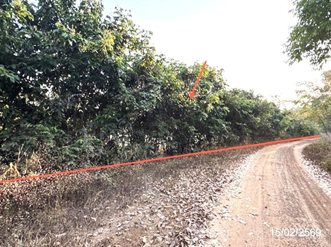 ที่ดินว่างเปล่า สว่างวีระวงศ์ อุบลราชธานี