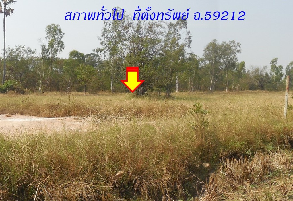 ที่ดินเปล่า นครราชสีมา