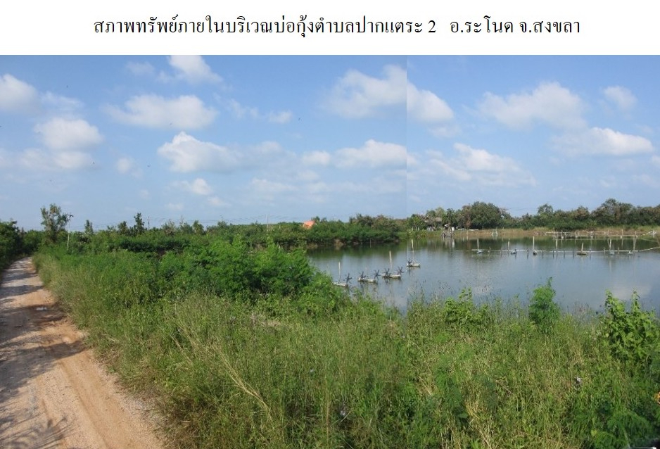 ที่ดินเปล่า โครงการบ่อกุ้งตำบลปากแตระ 2 สงขลา