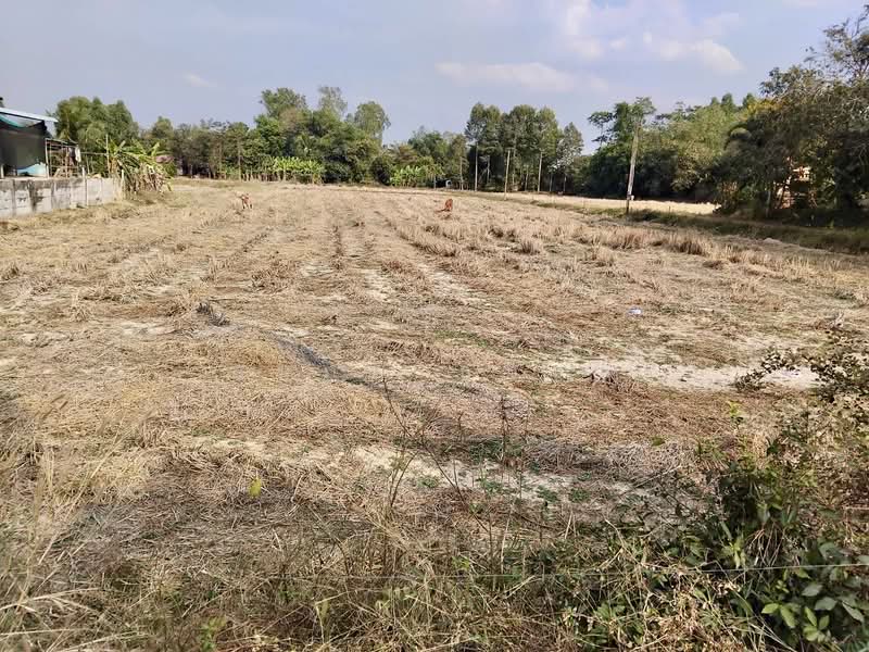 วังเย็น, Chachoengsao
