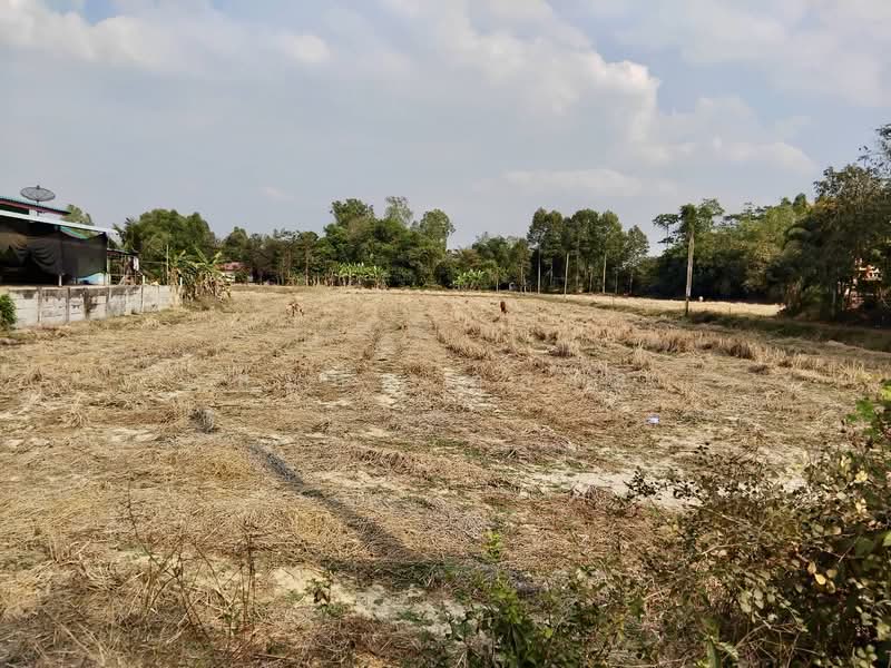 วังเย็น, Chachoengsao