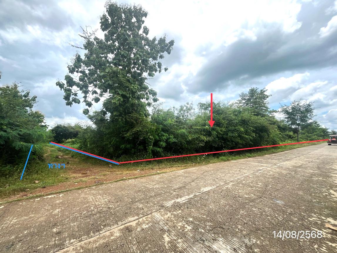 Empty land, Non Phai, Phetchabun Province