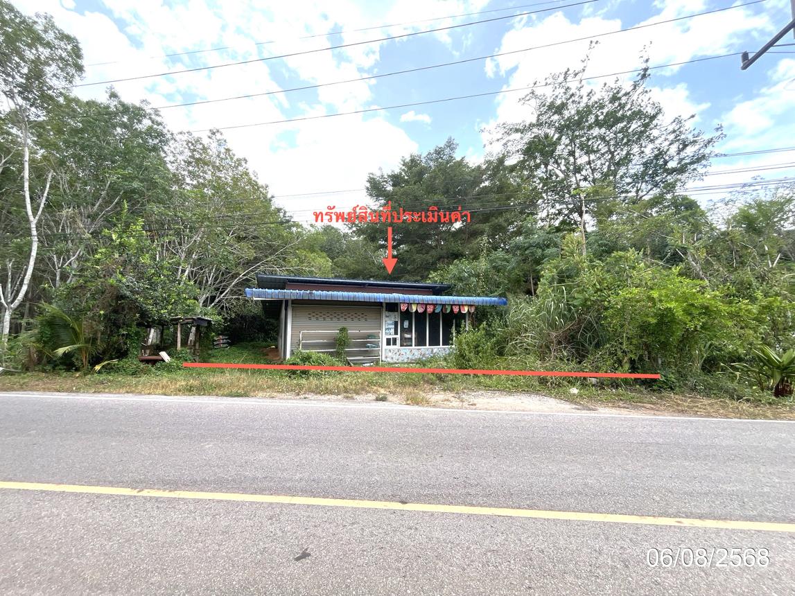 Single House in Punnaphin, Surat Thani