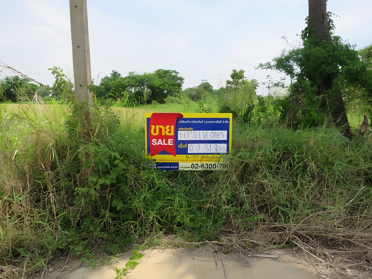 Empty land, Royal Executive Quatify Marina Pathum Thani project.
