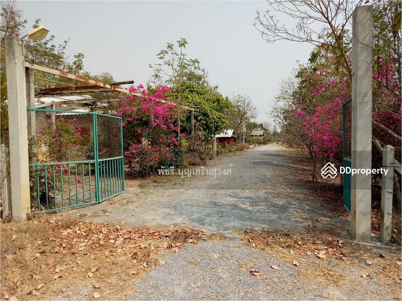 ขายที่ดินแปลงสวย 10 ไร่ ขุดโคกหนองนาสวยงาพร้อมบ้าน 3 หลัง และศาลาริมสระน้ำ มีไม้ดอก ไม้ผล, Suphan Buri