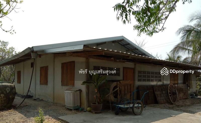 ขายที่ดินแปลงสวย 10 ไร่ ขุดโคกหนองนาสวยงาพร้อมบ้าน 3 หลัง และศาลาริมสระน้ำ มีไม้ดอก ไม้ผล, Suphan Buri