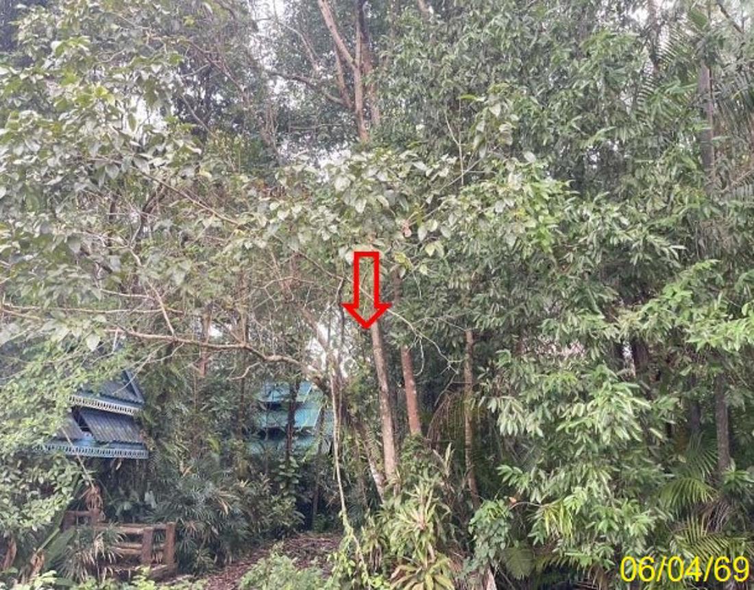 บ้านพักอาศัยแบบบ้านพาณิชย์ เมืองใหญ่ของนราธิวาส นราธิวาส