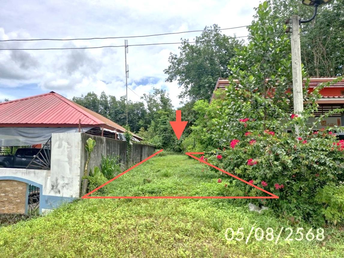 Vacant Land, Large Field, Nakhon Si Thammarat