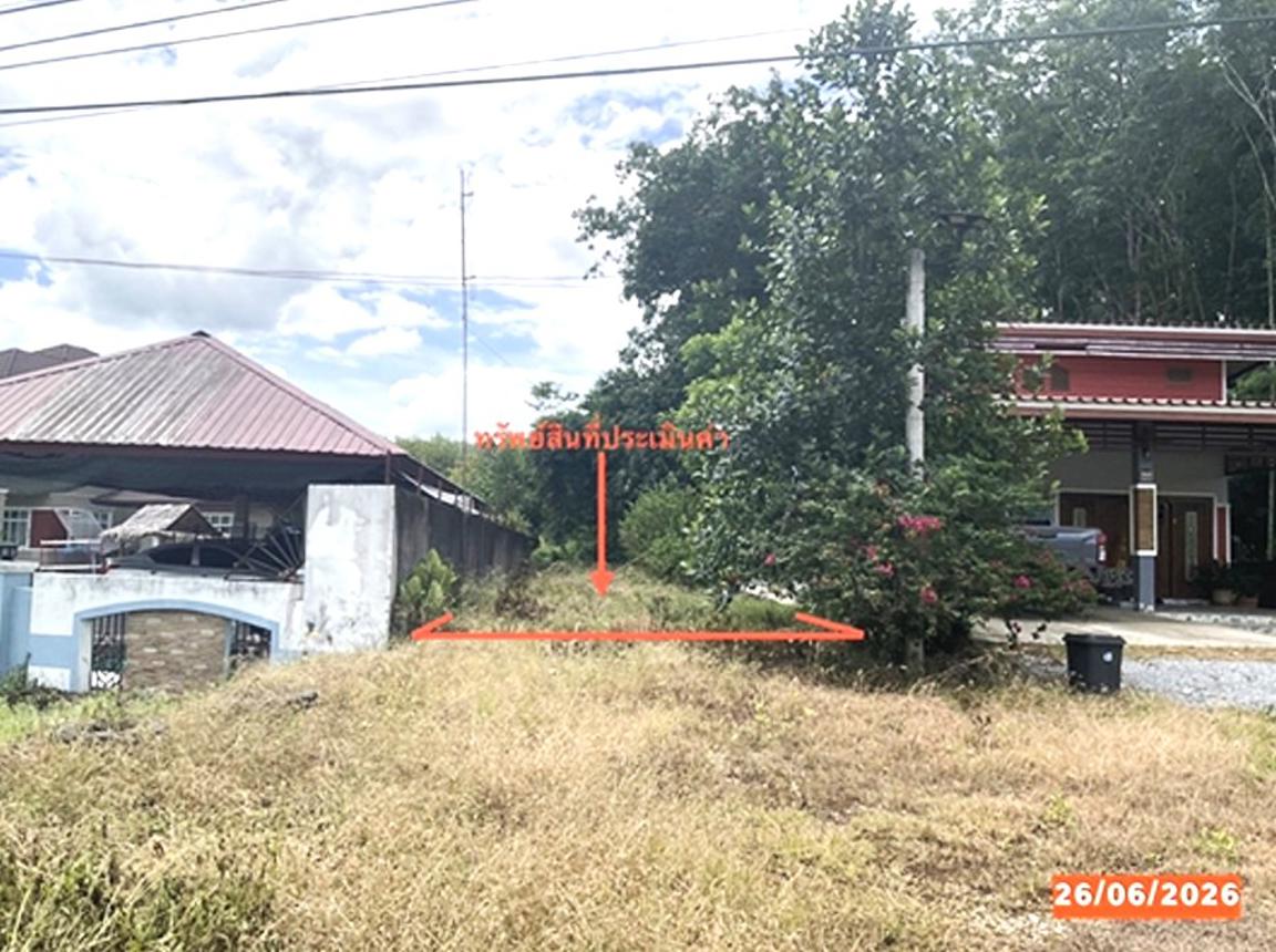 Vacant Land, Large Field, Nakhon Si Thammarat