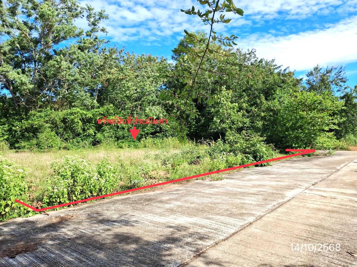 Vacant Land in Khun Khunut, Phatthalung Province