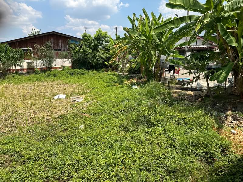 บางกระทึก, Nakhon Pathom