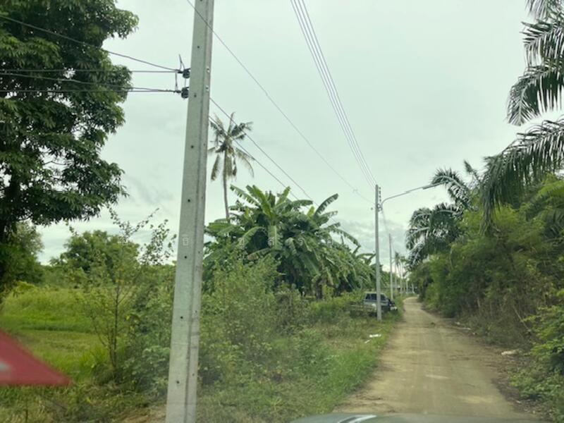 ที่ดินปราณบุรี ตำบลเขาน้อย อำเภอปราณบุรี, Prachuap Khiri Khan