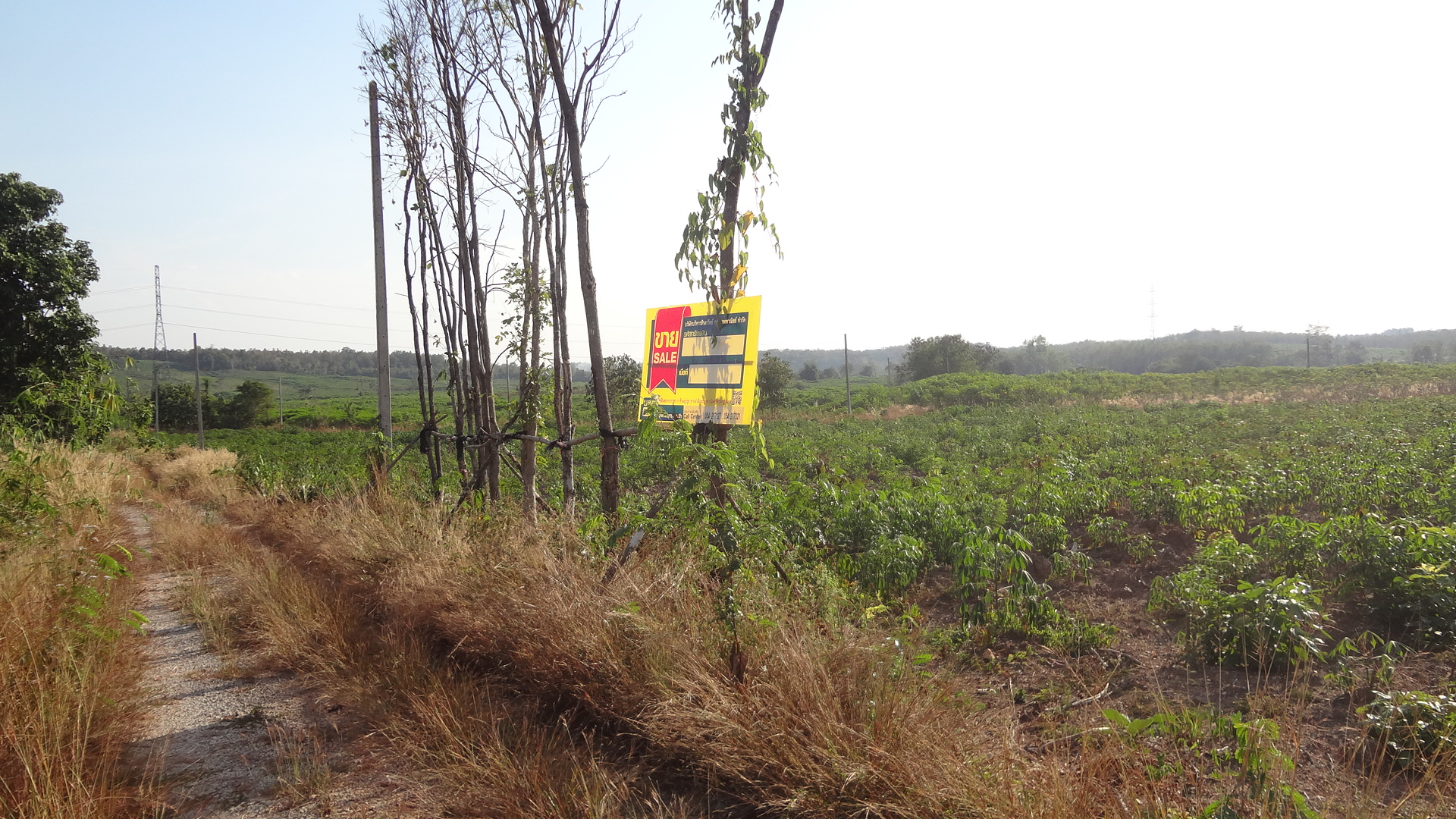 Empty land in the project of Pak Chai Tai, Lamphun