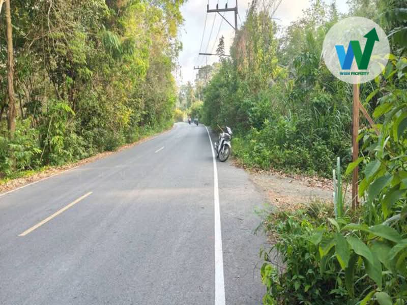 For sale Land Khuan Khanun Phatthalung, Phatthalung