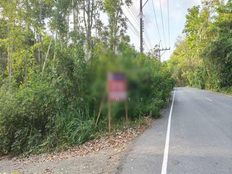 For sale Land Khuan Khanun Phatthalung, Phatthalung