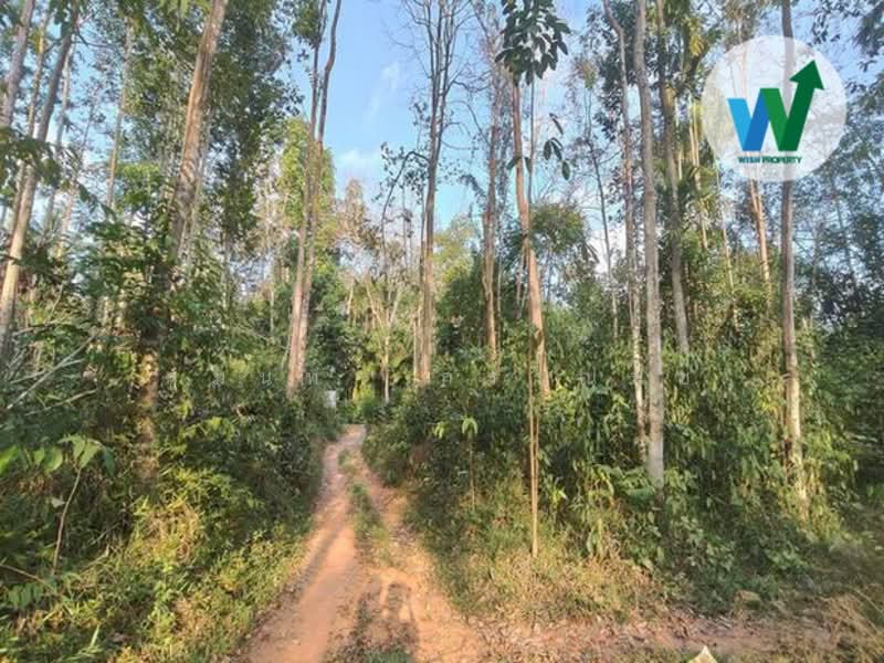 For sale Land Khuan Khanun Phatthalung, Phatthalung
