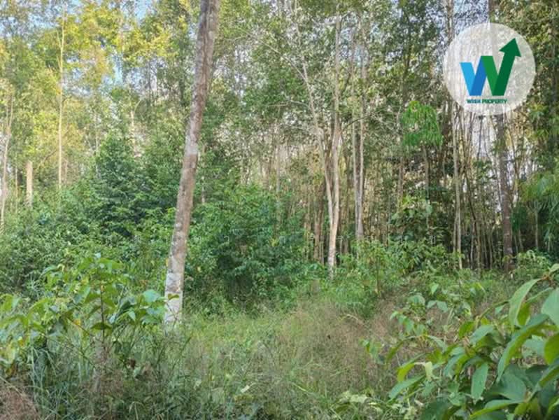 For sale Land Khuan Khanun Phatthalung, Phatthalung