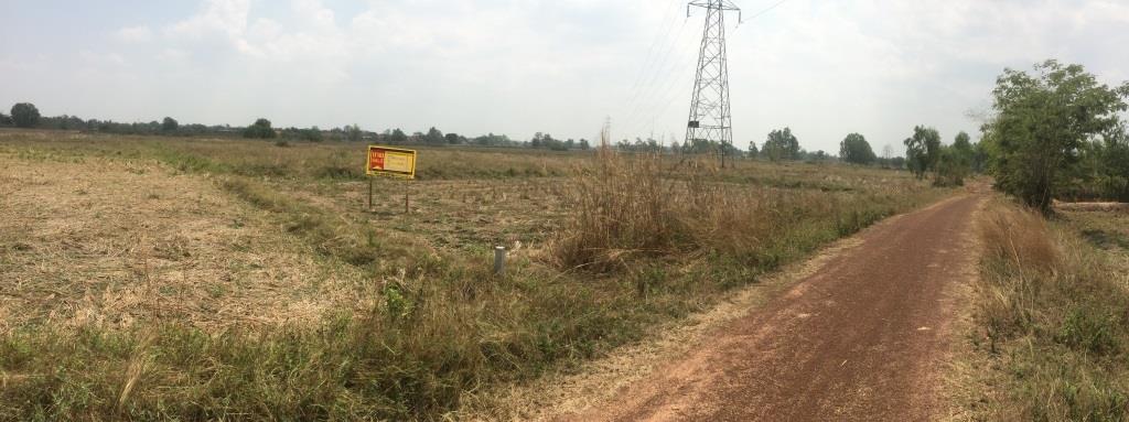 Empty land, Nong Sok Dao Village, Udon Thani City